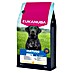 Eukanuba Droogvoer voor honden Mature L/XL - kip 