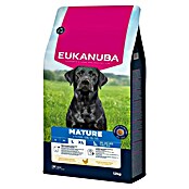 Eukanuba Droogvoer voor honden Mature L/XL - kip (12 kg) | BAUHAUS
