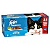 Felix Natvoer voor katten Vis Selectie 
