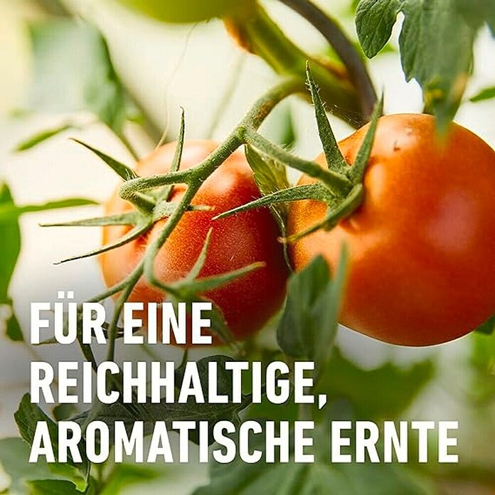 künstliche pflanzen wie echt outdoor 12 Bündel 35cm Kunstblumen wie Echt Künstliche Blumen Lavendel Outdoor –  kunstblumenshop main image 1
