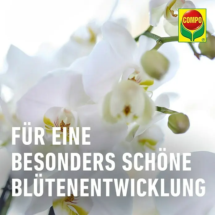 Compo Orchideendünger - 250 ml - Das Bild zeigt ein COMPO-Produkt mit dem Text "Für eine besonders schöne Blütenentwicklung" vor dem Hintergrund von weißen Orchideen.
