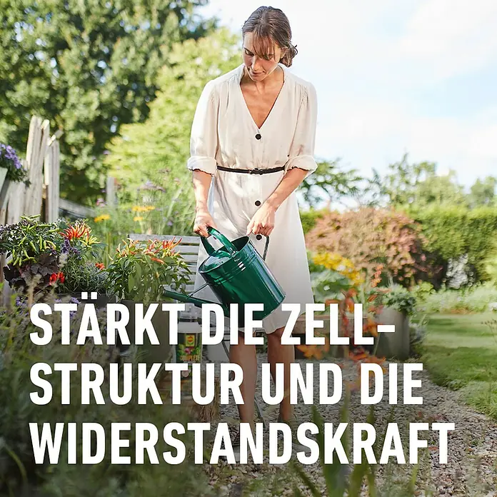 Compo Universaldünger Complete - 1 l - Frau gießt mit einer grünen Gießkanne Blumen im Garten. Stärkt die Zellstruktur und die Widerstandskraft der Pflanzen.