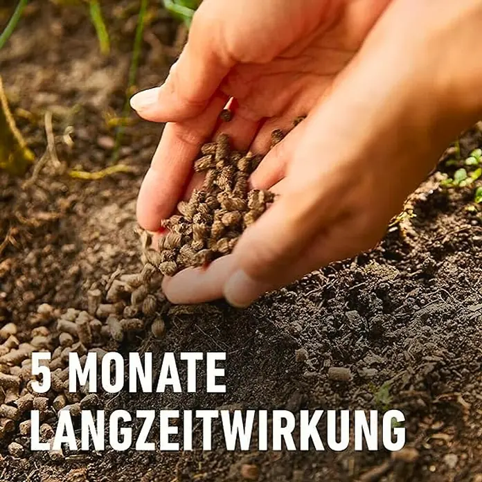 Compo Bio-Schafwolldünger Tomaten - 0,75 kg, Gemüse - Hand schüttet Düngerpellets auf Erde mit Text "5 Monate Langzeitwirkung".