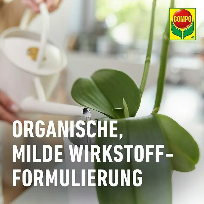 Compo Orchideendünger - 250 ml - Gießen einer Pflanze mit Compo Dünger. Die organische, milde Wirkstoffformulierung sorgt für gesundes Wachstum und üppige Blütenpracht.