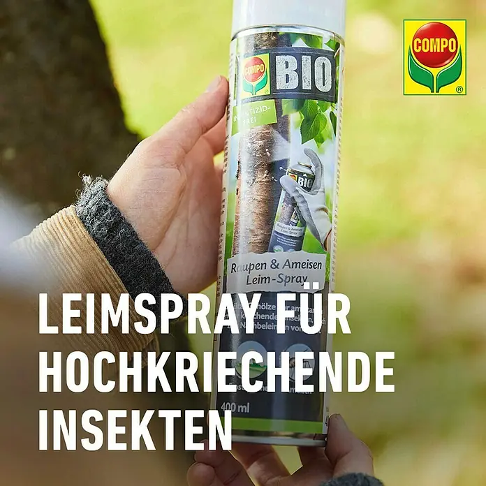 Compo Ameisen-Mittel Leimspray - 400 ml - COMPO Bio Leimspray gegen kriechende Insekten. Wirksamer Schutz für Pflanzen, um Ameisen und Raupen fernzuhalten, im 400-ml-Format.