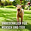 Compo Langzeitdünger Rasendünger (20 kg, Max. Anwendungsfläche: 500 m²) | BAUHAUS