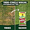 Compo Langzeitdünger Rasendünger (20 kg, Max. Anwendungsfläche: 500 m²) | BAUHAUS