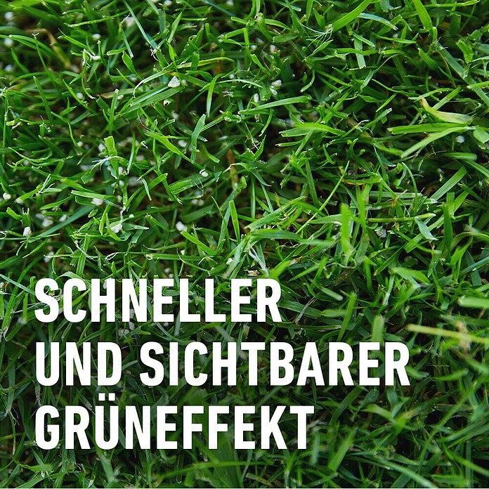 Compo Langzeitdünger Rasendünger (20 kg, Max. Anwendungsfläche: 500 m²) | BAUHAUS