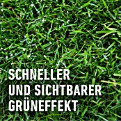 Compo Langzeitdünger Rasendünger (20 kg, Max. Anwendungsfläche: 500 m²) | BAUHAUS