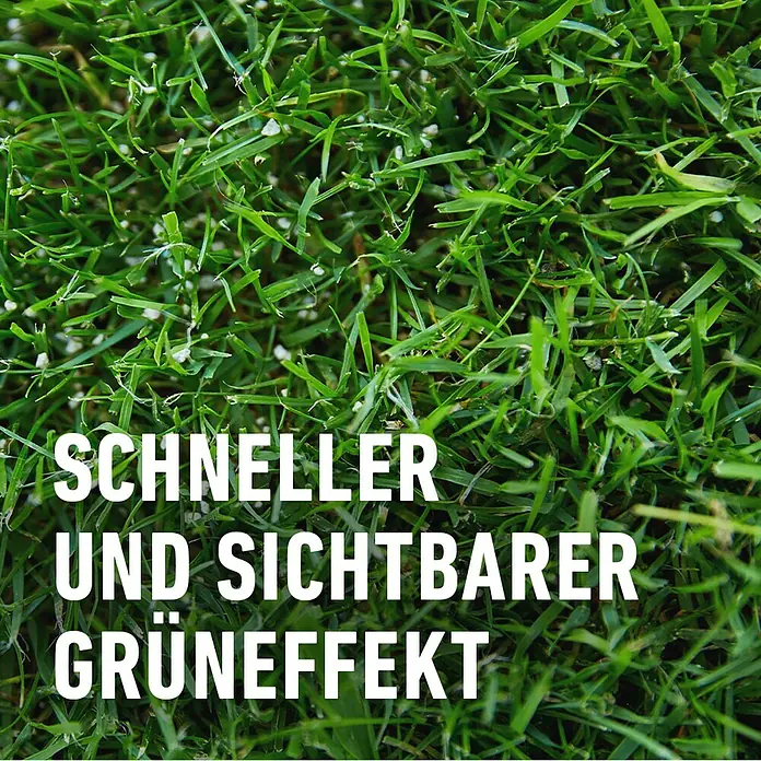 Compo Langzeitdünger Rasendünger - 20 kg, Max. Anwendungsfläche: 500 m² - Nahaufnahme von saftig grünem Rasen mit dem Text "Schneller und sichtbarer Grüneffekt" für ein Rasenpflegeprodukt.