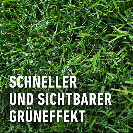 Compo Langzeitdnger Rasendnger - 20 kg, Max. Anwendungsflche: 500 m  online kaufen bei BAUHAUS