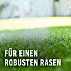 Compo Langzeitdünger Rasendünger (20 kg, Max. Anwendungsfläche: 500 m²) | BAUHAUS