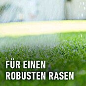 Compo Langzeitdünger Rasendünger (20 kg, Max. Anwendungsfläche: 500 m²) | BAUHAUS