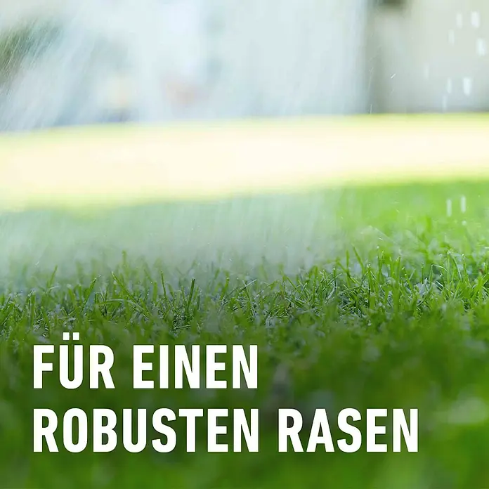 Compo Langzeitdünger Rasendünger - 20 kg, Max. Anwendungsfläche: 500 m² - Nahaufnahme von einem Rasen mit dem Text "Für einen robusten Rasen".