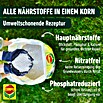 Compo Langzeitdünger Rasendünger (20 kg, Max. Anwendungsfläche: 500 m²) | BAUHAUS