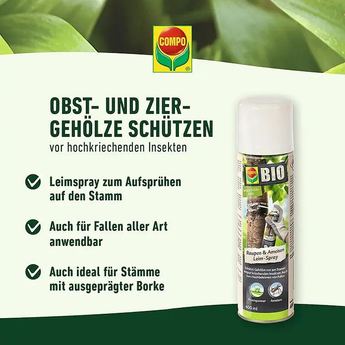 Compo Ameisen-Mittel Leimspray - 400 ml - COMPO Bio Leimspray zum Schutz von Obst- und Ziergehölzen vor kriechenden Insekten. Ideal für Stämme mit ausgeprägter Borke.