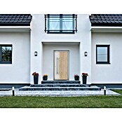 Aurelis Haustür BH 1121 (110 x 210 cm, DIN Anschlag: Links, Lichtgrau/Weiß) | BAUHAUS