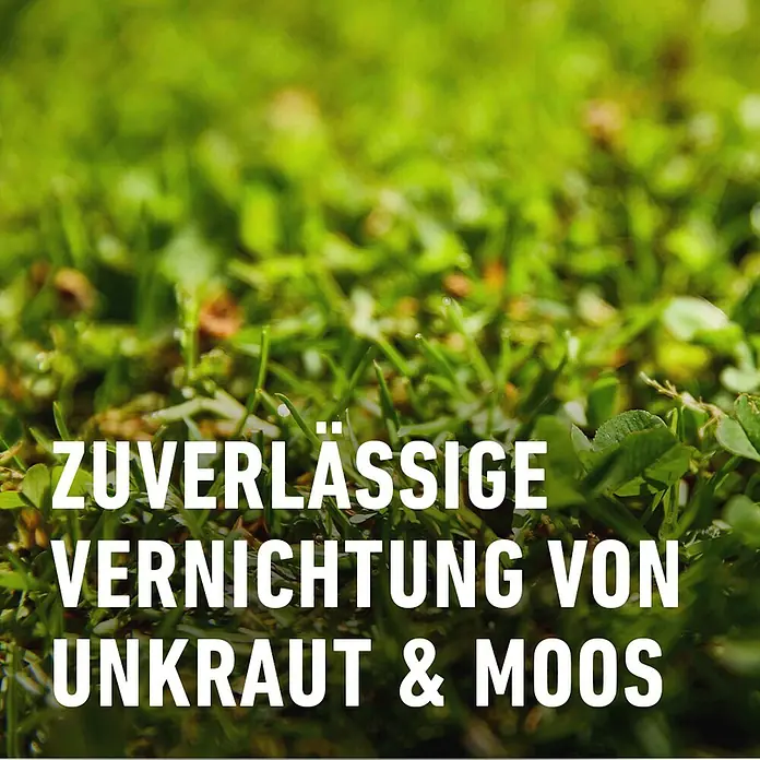 Compo Rasendünger gegen Unkraut & Moos - 3 kg - Zuverlässige Vernichtung von Unkraut und Moos für einen gepflegten Garten. Effektive Lösung für ein sauberes und gesundes Grün.