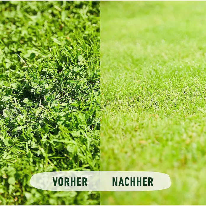 Compo Rasendünger gegen Unkraut & Moos - 3 kg - Bild zeigt einen Rasen "Vorher" mit Unkraut und "Nachher" einen gepflegten, grünen Rasen.