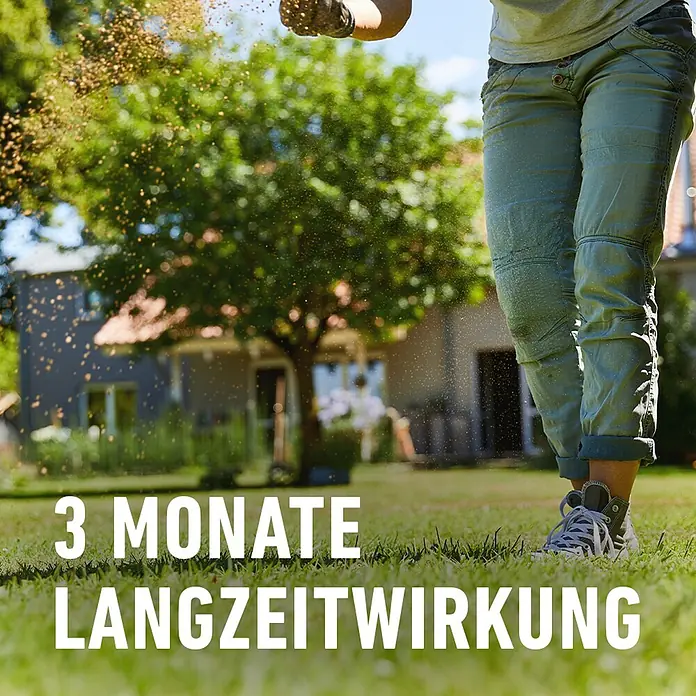Compo Rasendünger gegen Unkraut & Moos - 3 kg - Eine Person bringt Dünger auf einen Rasen aus. Text: 3 Monate Langzeitwirkung.