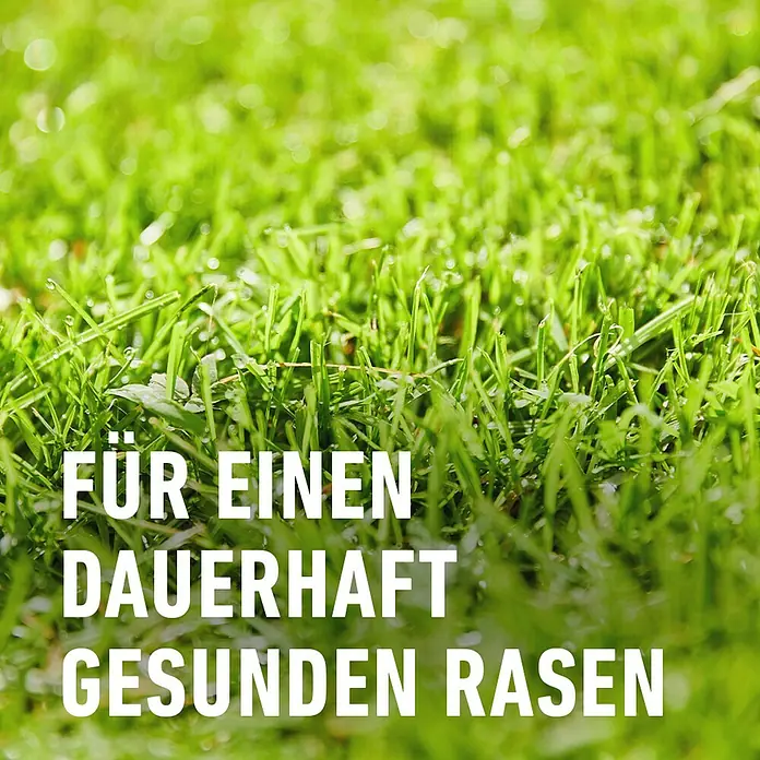 Compo Rasendünger gegen Unkraut & Moos - 3 kg - Nahaufnahme von saftig grünem Rasen, ideal für eine dauerhaft gesunde Rasenfläche.