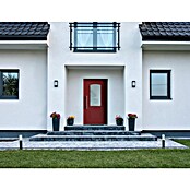 Aurelis Haustür BH 1001 (110 x 210 cm, DIN Anschlag: Links, Purpurrot/Weiß) | BAUHAUS