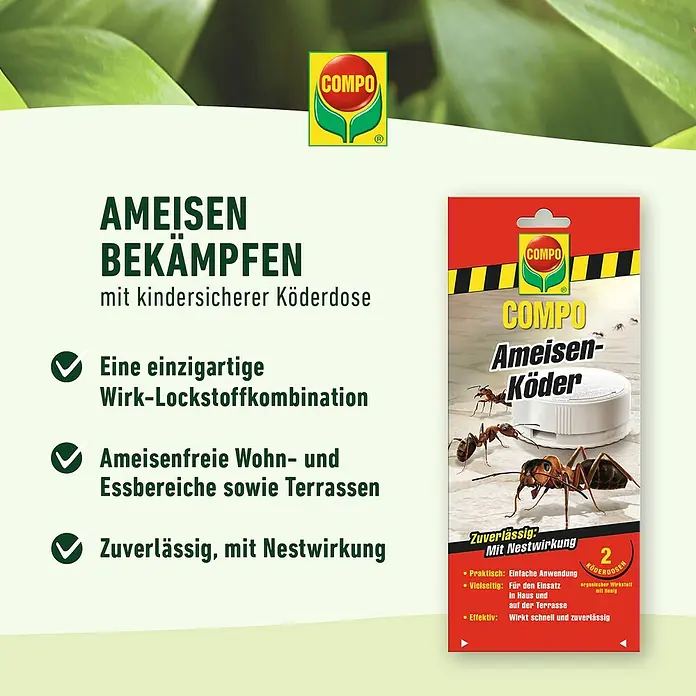 Compo Ameisenköder - 2 Stk. - COMPO Ameisen Köder zur Ameisenbekämpfung im Haus und auf der Terrasse. Die kindersichere Köderdose wirkt zuverlässig mit Nestwirkung.