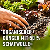 Compo Bio-Schafwolldünger Hochbeet (750 g, Hochbeet) | BAUHAUS