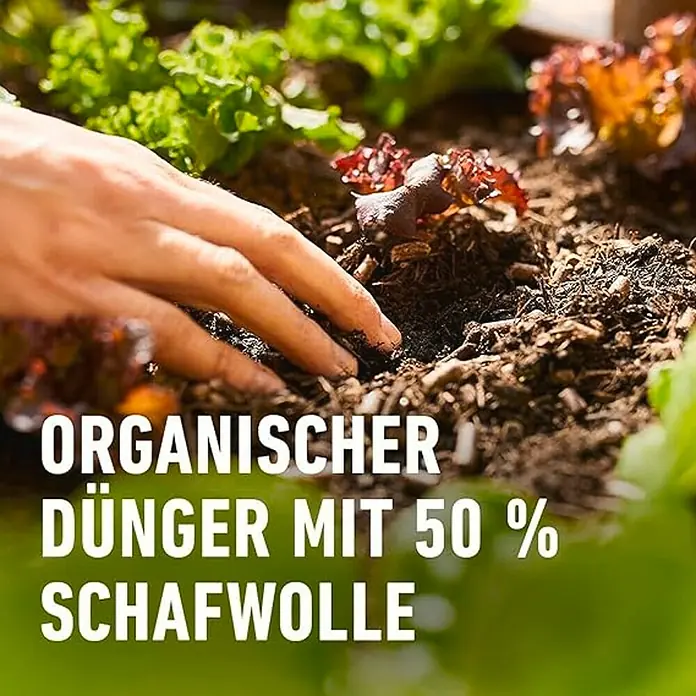 Compo Bio-Schafwolldünger Hochbeet - 750 g, Hochbeet - Organischer Dünger mit 50% Schafwolle für gesunde Pflanzen. Ideal für den Garten und zur natürlichen Bodenverbesserung.