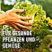 Compo Bio-Schafwolldünger Hochbeet (750 g, Hochbeet) | BAUHAUS