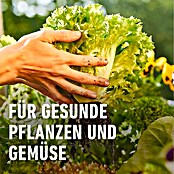 Compo Bio-Schafwolldünger Hochbeet (750 g, Hochbeet) | BAUHAUS