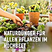Compo Bio-Schafwolldünger Hochbeet (750 g, Hochbeet) | BAUHAUS