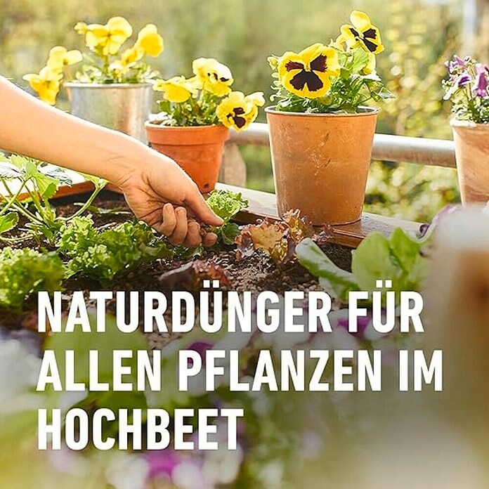 Compo Bio-Schafwolldünger Hochbeet (750 g, Hochbeet) | BAUHAUS
