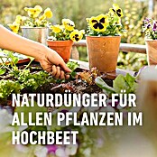 Compo Bio-Schafwolldünger Hochbeet (750 g, Hochbeet) | BAUHAUS