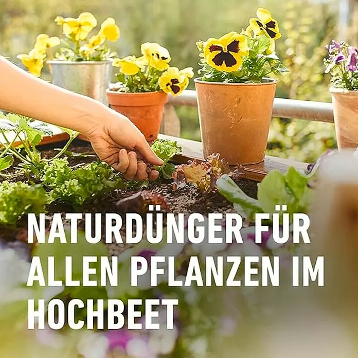 Compo Bio-Schafwolldünger Hochbeet - 750 g, Hochbeet - Natürlicher Dünger für alle Pflanzen im Hochbeet. Die perfekte Lösung für gesundes Wachstum und reiche Ernte im Garten.