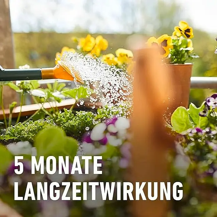 Compo Bio-Schafwolldünger Hochbeet - 750 g, Hochbeet - Bewässerung von Topfpflanzen auf einem Balkon, die mit Langzeitdünger versorgt werden, der 5 Monate hält.