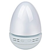 Led-nachtlicht Dog (l x b x h: 155 x 90 x 165 mm, Lichtkleur: Meerkleurig) | BAUHAUS