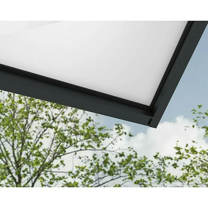 Palram – Canopia Pultvordach Sophia XL - 750 x 140 x 17 cm, Anthrazitgrau, Farbe Dach: Opal - Nahaufnahme eines modernen Oberlichts mit schwarzem Rahmen und Blick auf Bäume und Himmel.