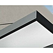 Palram – Canopia Pultvordach Sophia XL (192 x 140 x 17 cm, Anthrazitgrau, Farbe Dach: Weiß Opal) | BAUHAUS