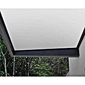 Palram – Canopia Pultvordach Sophia (215 x 95 x 17 cm, Anthrazitgrau, Farbe Dach: Weiß Opal) | BAUHAUS