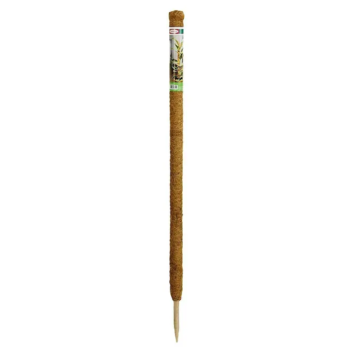 Bellissa Kokosstab - 4,5 x 80 cm, Holz - Ein Moosstab für Pflanzen, ideal für Kletterpflanzen, um sie beim Wachsen zu unterstützen und ihnen Halt zu geben.