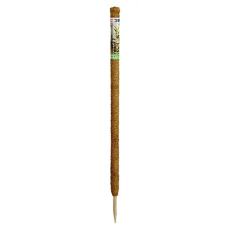 Bellissa  Kokosstab