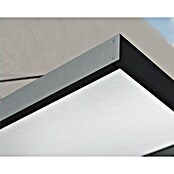 Palram – Canopia Pultvordach Sophia XL (379 x 140 x 17 cm, Anthrazitgrau, Farbe Dach: Weiß Opal) | BAUHAUS
