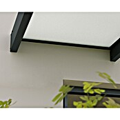 Palram – Canopia Pultvordach Sophia XL (750 x 140 x 17 cm, Anthrazitgrau, Farbe Dach: Weiß Opal) | BAUHAUS