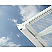Palram – Canopia Pultvordach Bordeaux (890 x 139 x 33 cm, Weiß, Polycarbonat Doppelstegplatte) | BAUHAUS