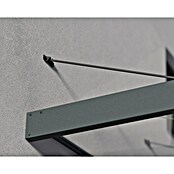 Palram – Canopia Pultvordach Sophia XL (472 x 140 x 17 cm, Anthrazitgrau, Farbe Dach: Klar) | BAUHAUS