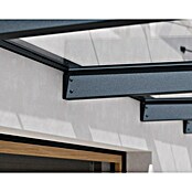 Palram – Canopia Pultvordach Sophia XL (472 x 140 x 17 cm, Anthrazitgrau, Farbe Dach: Klar) | BAUHAUS