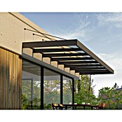Palram – Canopia Pultvordach Sophia XL (750 x 140 x 17 cm, Anthrazitgrau, Farbe Dach: Klar) | BAUHAUS