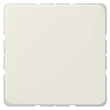 Jung CD 500 Blindabdeckung 594-0
