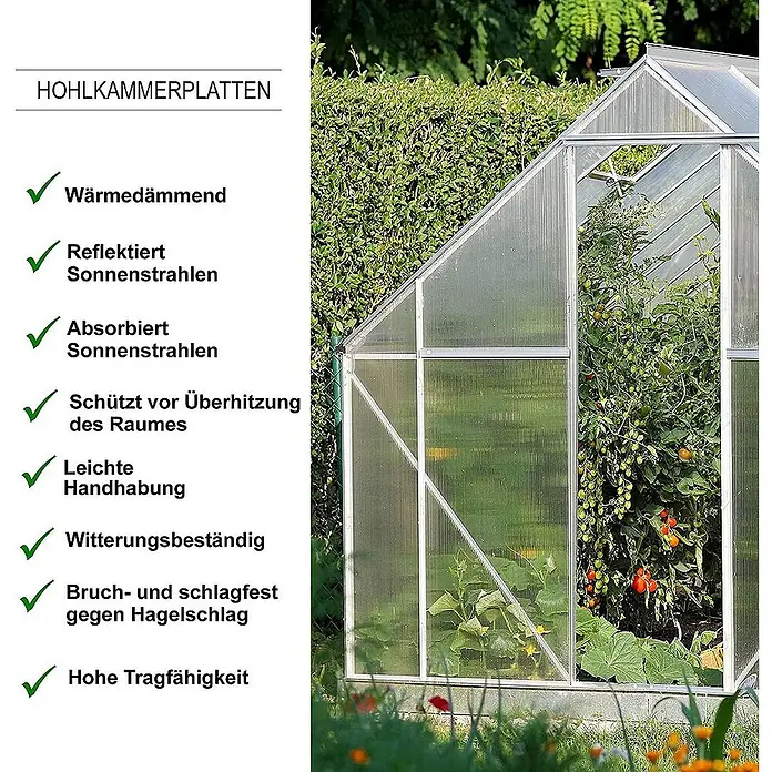 Floordirekt Hohlkammerplatte Doppelstegplatte Polycarbonat 6 mm - 60,5 x 121 cm Transparent -  - Das Bild zeigt eine Gewächshauswand aus Hohlkammerplatten mit wärmedämmenden und bruchfesten Eigenschaften.